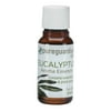 PureGuardian SPAES30E Eucalyptus Aroma Essence with Essential Oil and Plant Extracts, 30 ml