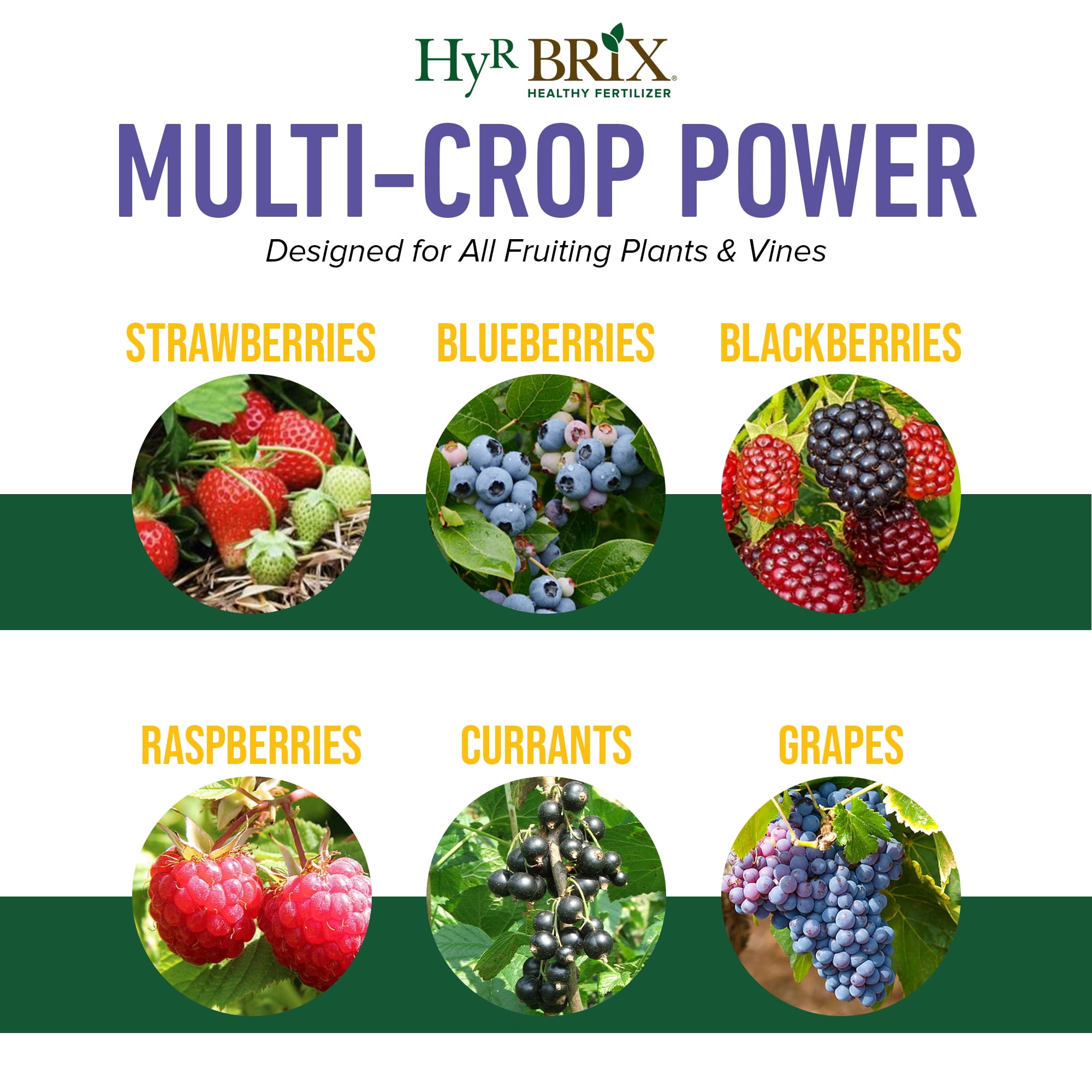 Hyr Brix Fruit & Berry Fertilizer