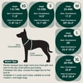 thumbnail image 2 of Kuoser Dog Anxiety Vest, Soft and Breathable Calming Shirt for Pet, Adjustable Dog Anxiety Relief Jacket for Thunderstorm, Fireworks, Travel, Separation, Red, S, 2 of 7
