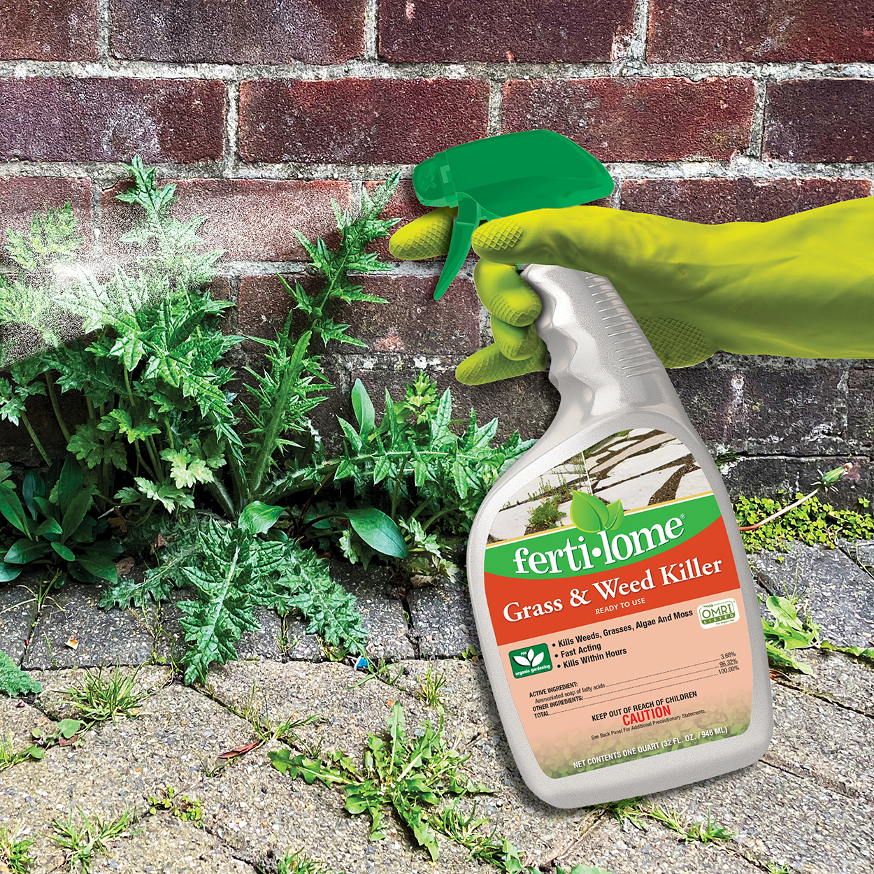 Fertilome (16106) Non Selective Grass & Weed Killer, Ready to Use, OMRI Listed (32 oz.)