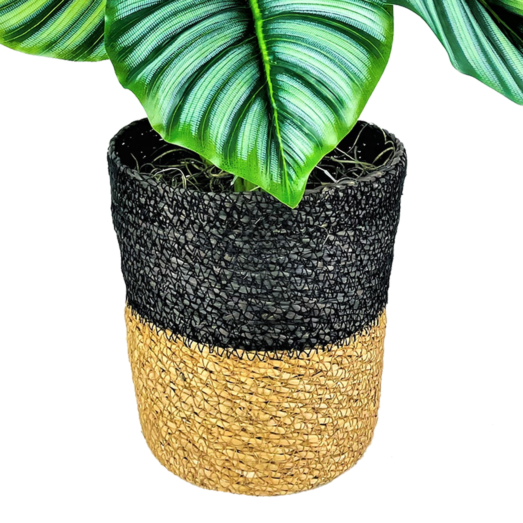 LCG Florals Artificial Plant, Prayer Plant, 2.5 ft, Two-Tone Decorative Handwoven Basket
