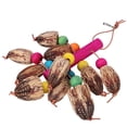 thumbnail image 2 of Natural Fruit Bird Hanging Swing Parrot Biting Chewing Playing Cage Training Toy Accessory, 2 of 11