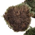thumbnail image 4 of 3x Scenr Building Lichen Hierba Sunnimix Musgo de liquen natural, 4 of 6
