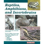 Reptiles, Amphibians, and Invertebrates : An Identification and Care Guide (Paperback)
