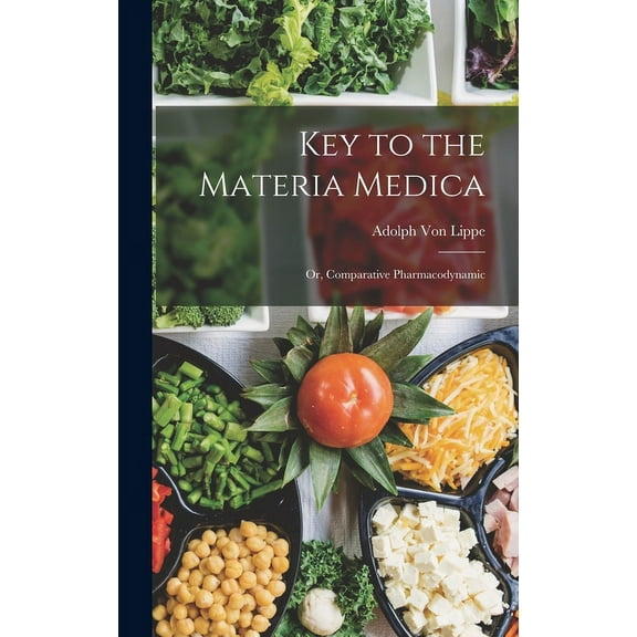 Key to the Materia Medica : Or, Comparative Pharmacodynamic (Hardcover)