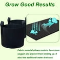 thumbnail image 5 of Nogis 5-Pack Reuseable Grow Bags for Potato Tomato Vegetables Garden Plant Pots Breathable Fabric with Strap Handles - 3 Gallon(Black), 5 of 8