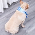 thumbnail image 3 of Methold Pañuelo refrescante para perros, accesorio de verano, bufanda refrescante | Collar bandana refrescante para gatos Ropa para mascotas azul METRO, 3 of 6
