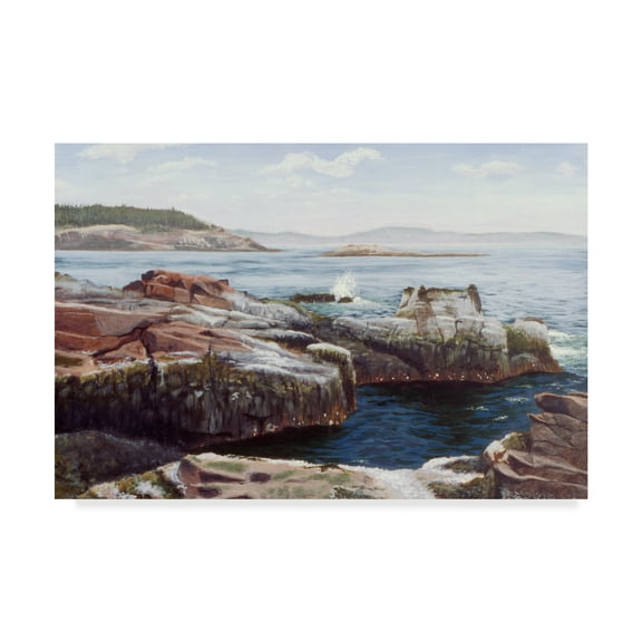 Trademark Fine Art 'Thunder Hole' Canvas Art by Rusty Frentner