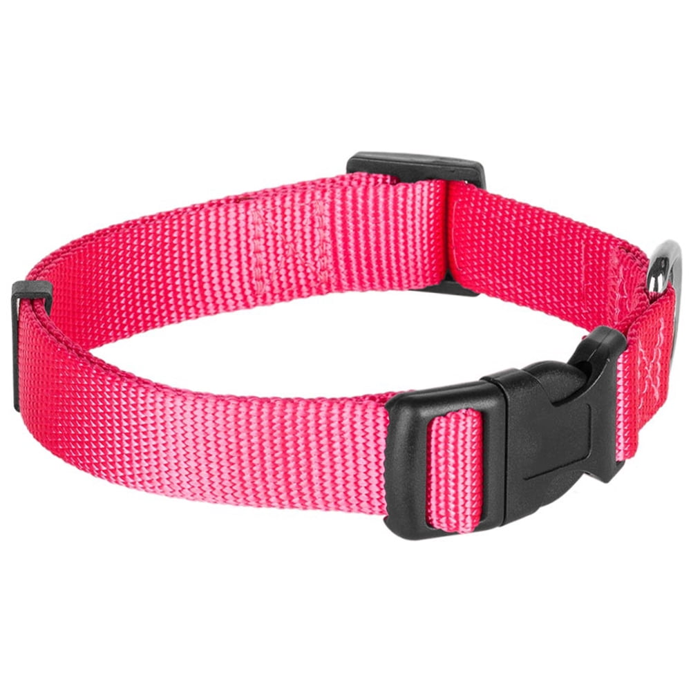Blueberry Pet Classic Nylon Dog Collar, French Pink, Medium