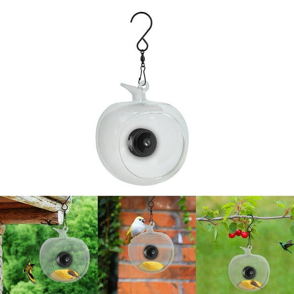 Mangeoire Intelligente pour Oiseaux avec Caméra 1080P Intégrée pour l'Observation des Oiseaux en Plein Air et la Nuit