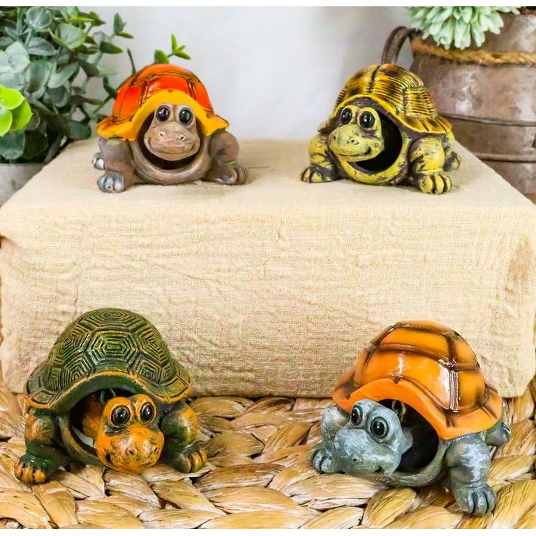 Calma Store 38灯 鼈甲柄 Skelton Tortoise Calma Store 38灯 鼈甲柄 Skelton Tortoise The Elegance and