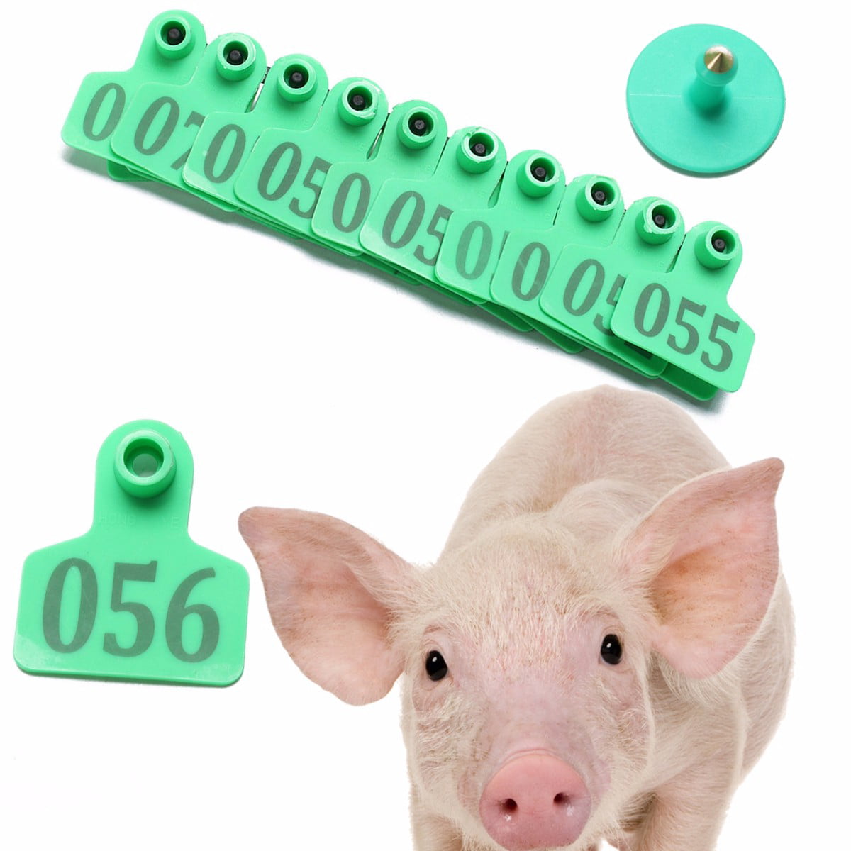 Goat Sheep Pig 001-100 Number Plastic Livestock Ear Tag With Blue Color