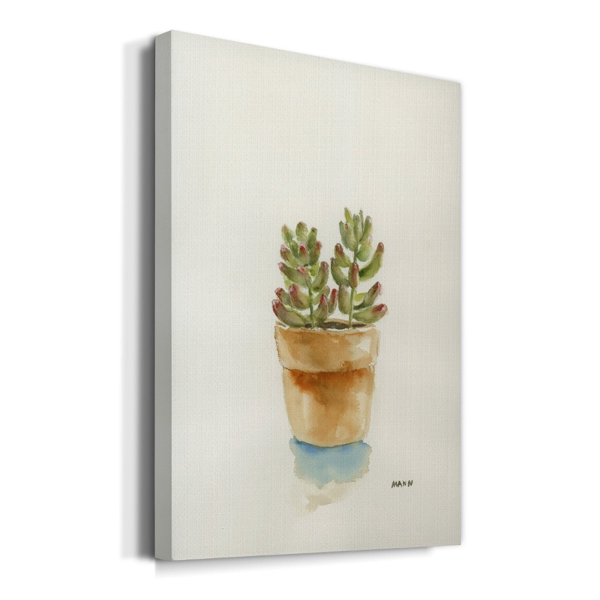 Succulent III Premium Gallery Wrapped Canvas - Ready to Hang