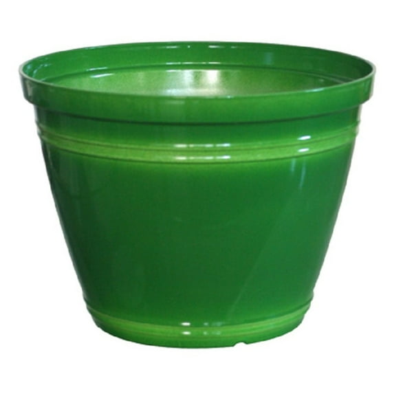 Concept Greenhouse Eileen 13 in. Resin Planter