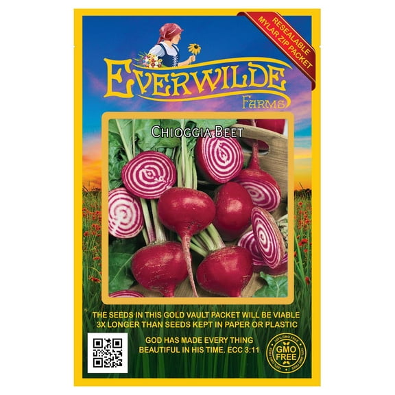 Everwilde Farms - 200 Chioggia Beet Seeds - Gold Vault Jumbo Bulk Seed Packet