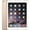 gold, variant on Open Box Apple ipad air 2nd Generation 128 GB Wi-Fi+Cellular Space Gray