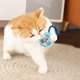 thumbnail image 4 of Juguete interactivo para perros que chirría, de tela suave con relleno de PP, resistente para morder y jugar, para interior y exterior, para cachorros y razas pequeñas y medianas, 4 of 6
