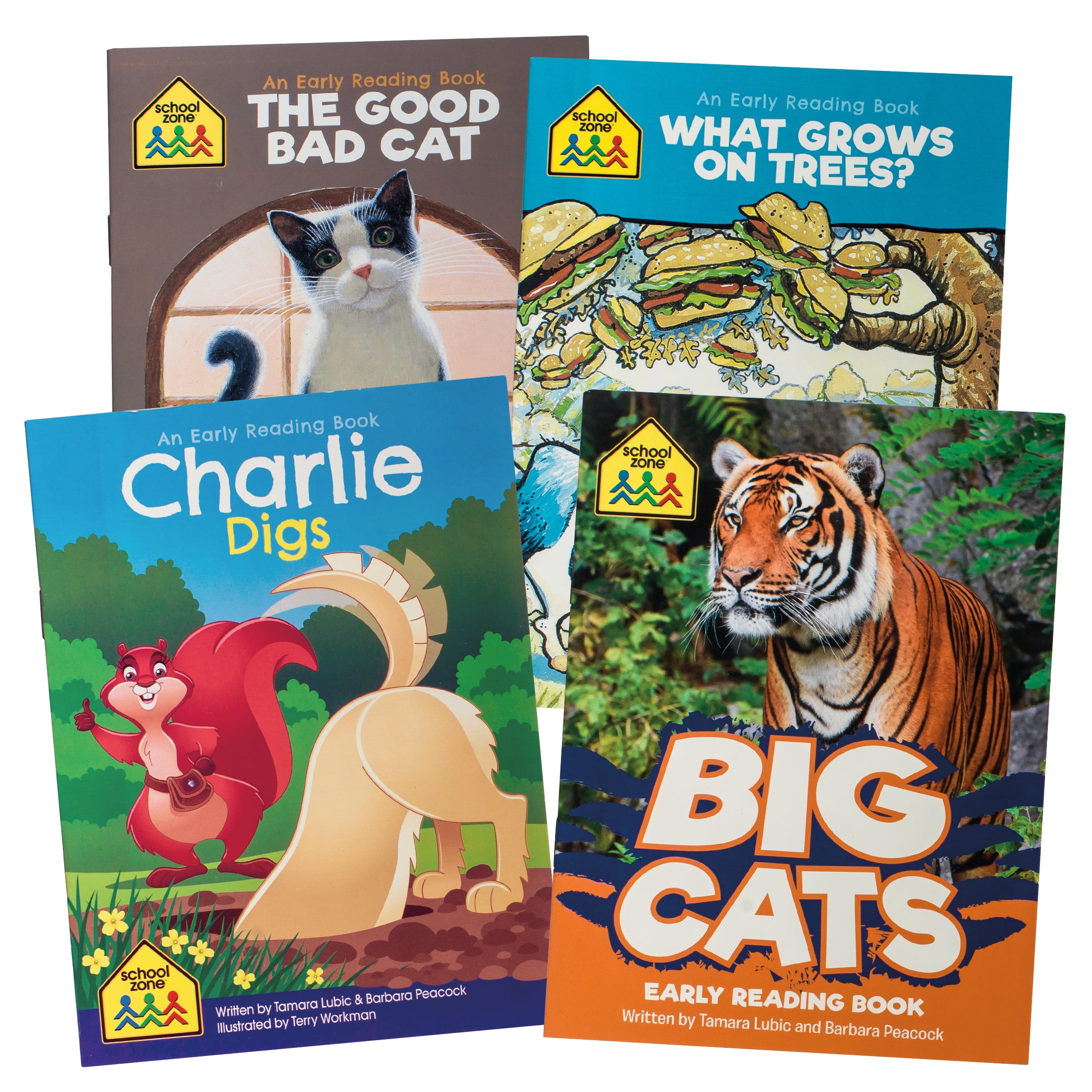 School Zone Preschool Full Learning Program