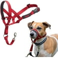 thumbnail image 1 of Halti Headcollar Red Size 1, 1 of 6