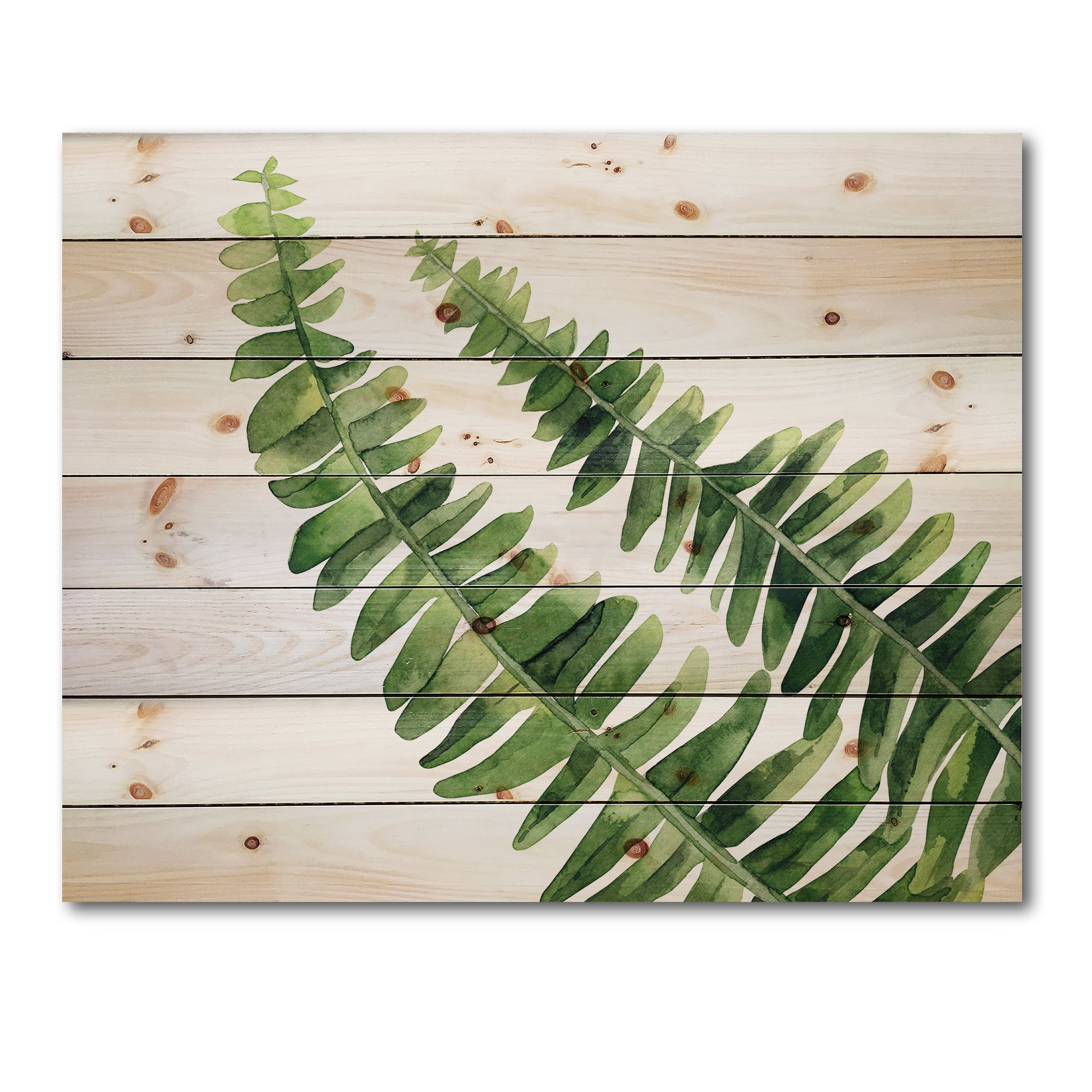 Designart 'Fern Plant Leaves Detail I' Farmhouse Print on Natural Pine Wood