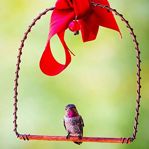hummingbird feeder and stand