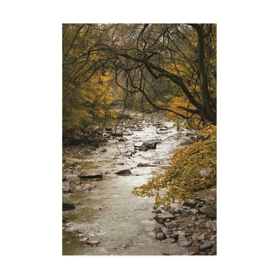 Trademark Fine Art 'Yellow Maples along the River' Canvas Art by Kurt Shaffer Photographs