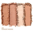 thumbnail image 4 of COVERGIRL Eye Enhancers 4-Kit Eyeshadow, 215 Country Woods, 0.19 oz, 4 of 9