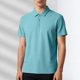 thumbnail image 1 of Blusa y camisa de manga corta con cuello vuelto para hombre, color liso, informal, holgada, a la moda, de seda helada, sin costuras, transpirable, elástica, con botones, de cedro, blusa de manga corta, 1 of 6