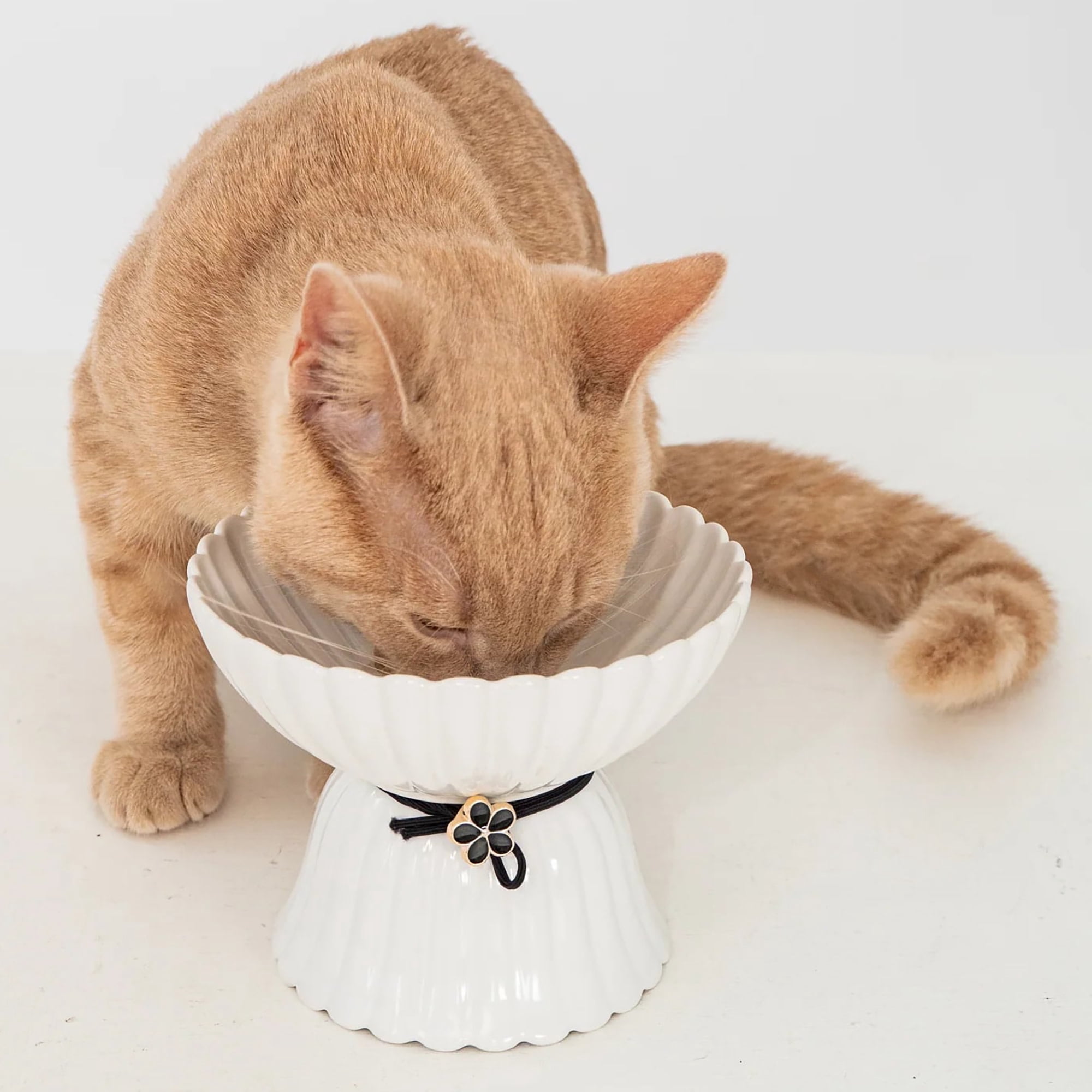 Dexypaws: Elevated Ceramic Cat Bowl - Blush Pink & Rose Gold Flower - 8.45oz, Stylish Pet Feeding Dish, Meals, Food & Water, Ergonomic Height, Raised