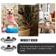 thumbnail image 2 of 2 piezas de tazones para gatos tazones de perros de acero inoxidable cuencas de gato de acero inoxidable de acero inoxidable suministros para mascotas, 2 of 7