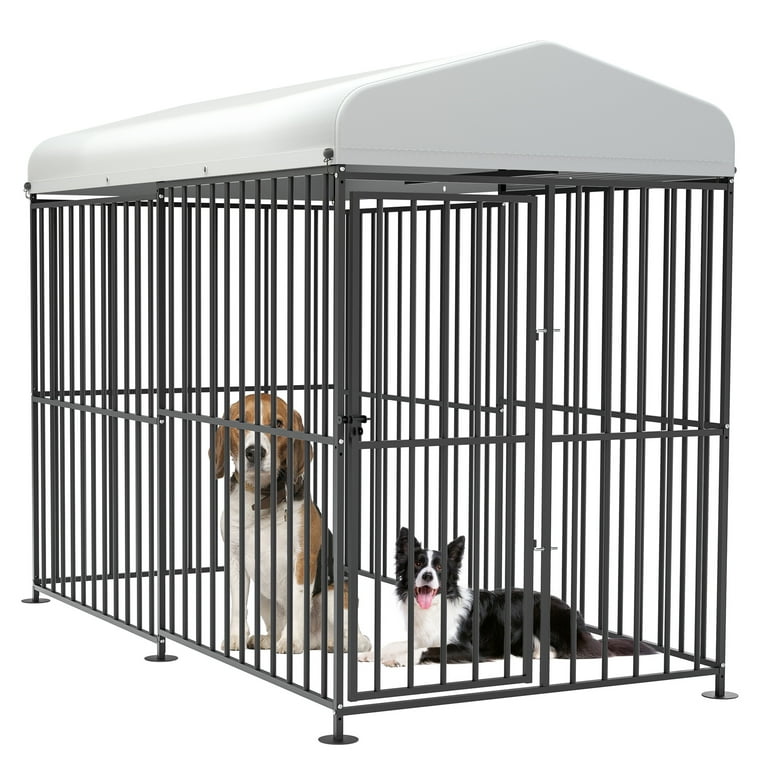 Walmart dog cheap runs
