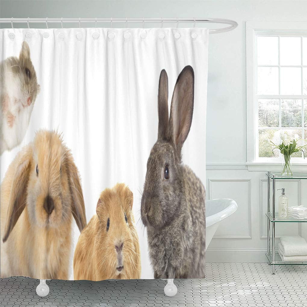 CYNLON Gray Funny of Rodents Rabbit and Guinea Pig Hamster Bathroom