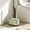 Green, variant on 3 in 1 Toilet Brush and Plunger Set, Extended Handle Plunger,Heavy Duty Toilet Bowl Brush and Holder Hidden Toilet Plunger and Brush Set, Floor Standing or Wall Mounted Bathroom Cleaning Supplies