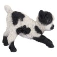 thumbnail image 3 of Hi-Line Gift Small Black & White Baby Lamb Playing, 3 of 5