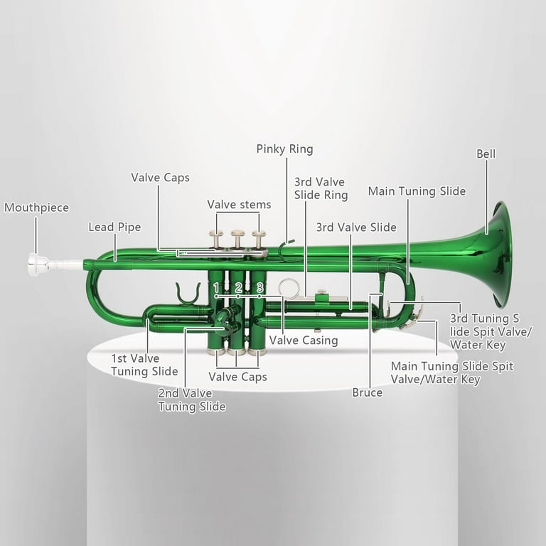 UBesGoo School B Flat Trumpet Kit with Case Gloves Accessories, Green 