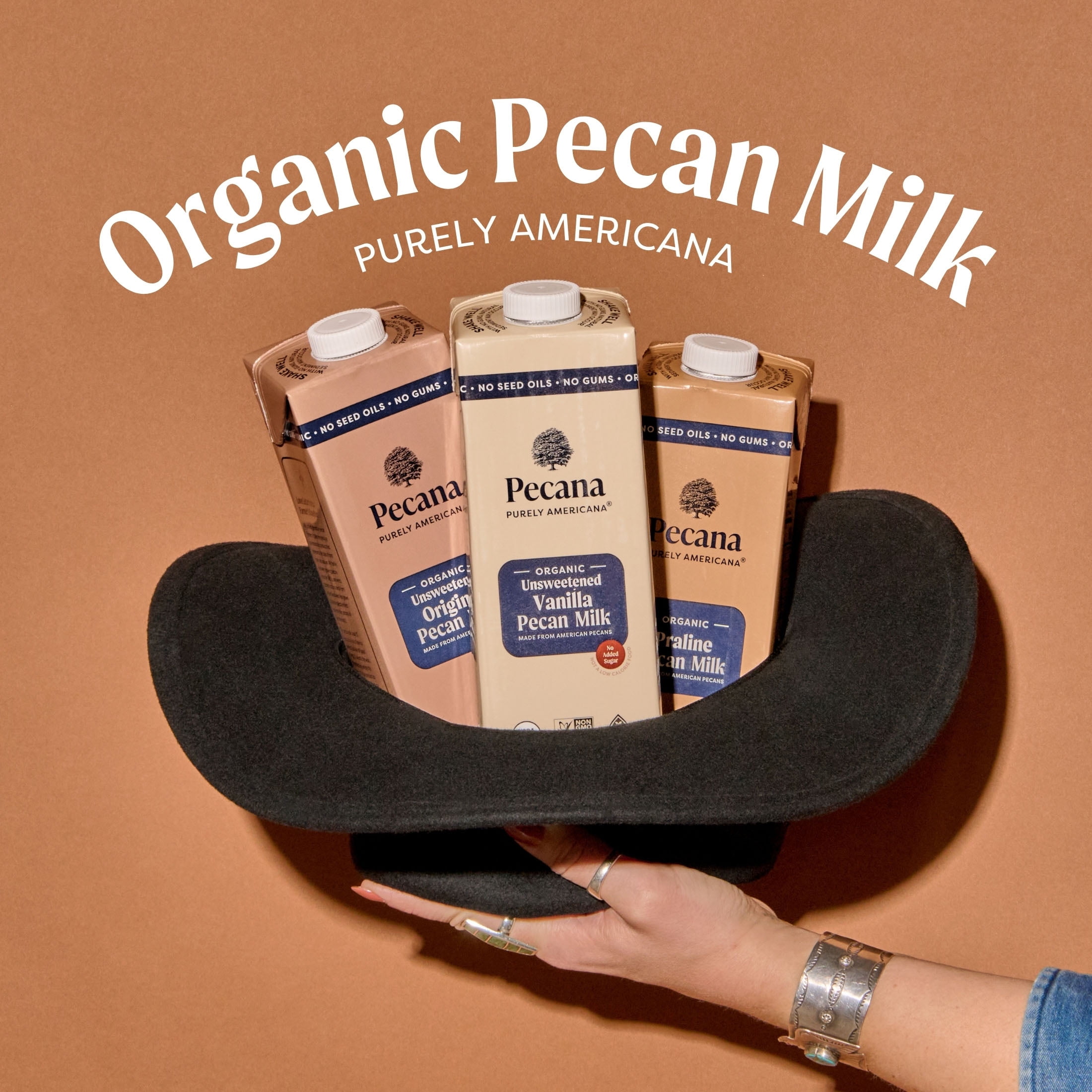 Pecana USDA Organic Praline Pecan Milk 32 fl oz Shelf-Stable Carton