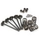 thumbnail image 3 of Piezas De ATV, Kit De Válvula De Escape De Admisión De Cilindro De Acero Confiable Reemplazo Duradero Para YAMAHA GRIZZLY 660 YFM660F 4WD 2002-2008 Para Reparación ANGGREK CI1618, 3 of 8