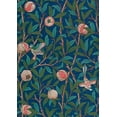 thumbnail image 5 of William Morris: 100 Postcards, 5 of 10