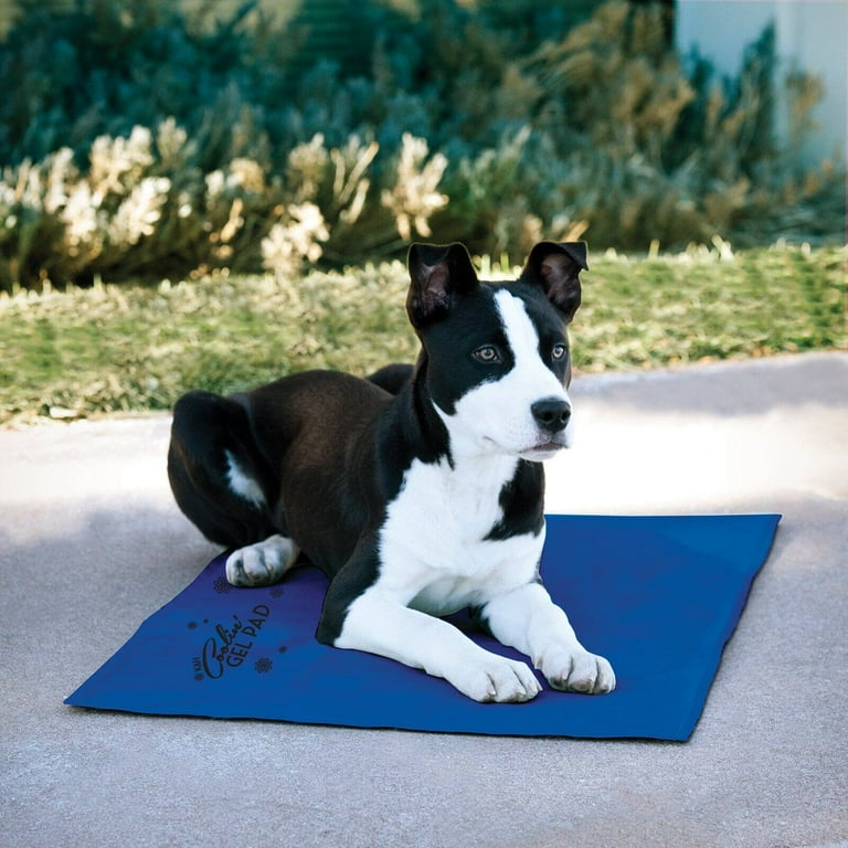 K H Pet Products Coolin Pet Pad Extra Large Blue