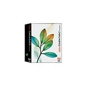 Adobe Creative Suite 2 Premium - Box pack (upgrade) - 1 user - CD - Win - English - North America