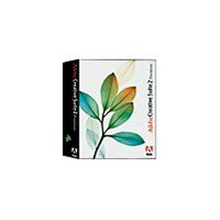 Adobe Creative Suite 2 Premium - Box pack (upgrade) - 1 user - CD - Win - English - North America