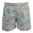 thumbnail image 5 of Star Wars The Child T-Shirt and French TerryShorts Outfit Set Infant to Big Kid, 5 of 5