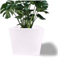 thumbnail image 2 of Maceta Plastico Resistente Cuadrada con Drenaje, 40 x 35 cm blanco 15 cm x 15 cm Elly Decor ED-MCP01WH, 2 of 9
