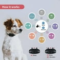 thumbnail image 5 of 70% Off -70% Off -rechargeable Anti-bark Collar For Dogs, Small Medium To Large Dog Training Collar With 2 Vibration And Sound Modes 7 Sensitivity Lev, 5 of 5