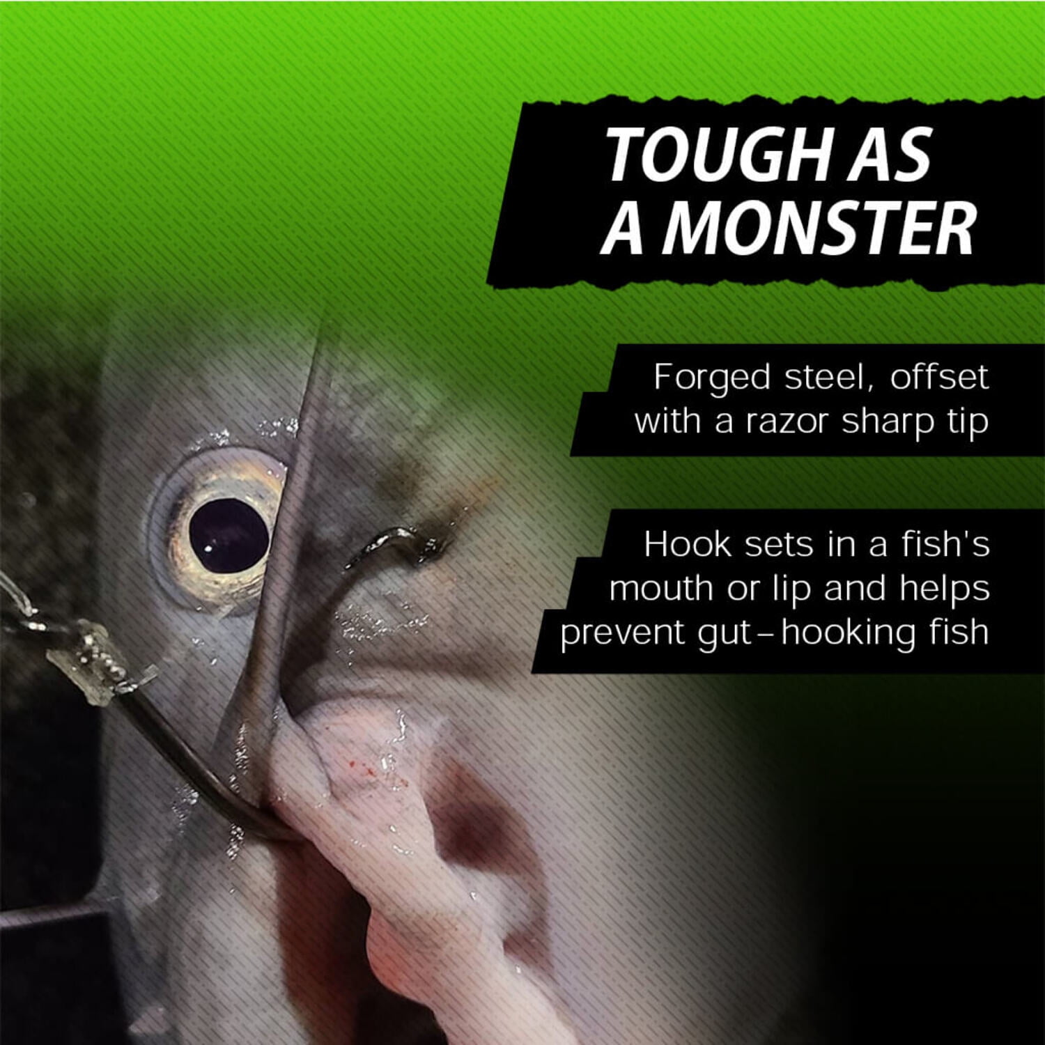 Catfish Sumo Hangry Hooks™ 25 Pieces Circle Hook