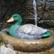 thumbnail image 3 of Estatua de pato, estatuilla de resina, escultura animal para jardín, balcón, 3 of 4