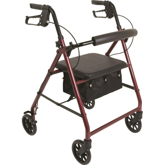ProBasics Aluminum Rollator, 6" Wheels, Black, 300 lb Weight Capacity