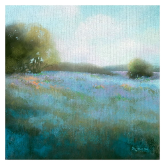Fine Art Canvas Spring Blues II Meadow Blossoms by Teri Jonas Canvas Art Print