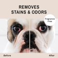 thumbnail image 3 of Toallitas antiarrugas Eye Envy Bulldog para bulldog francés, pug, bulldog inglés, 3 of 9