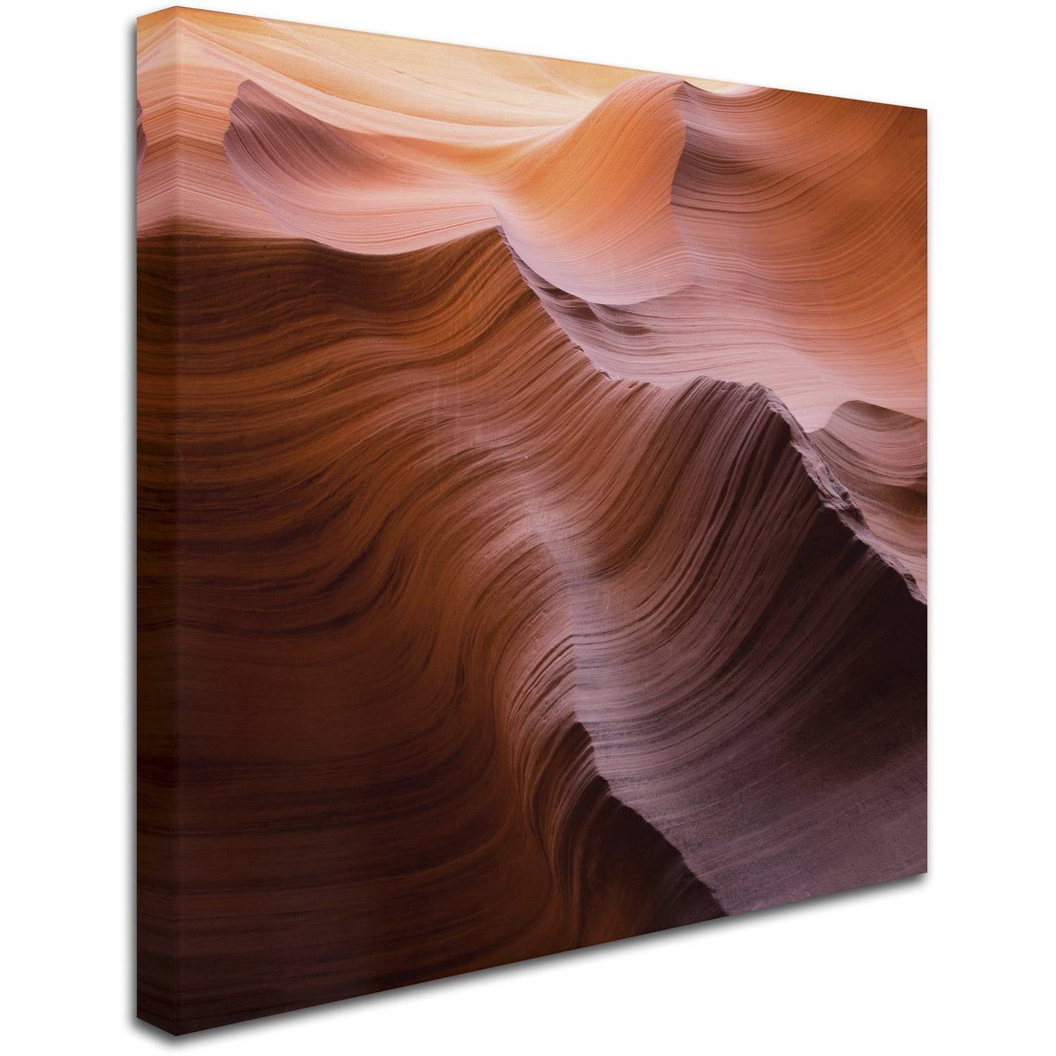 Trademark Fine Art "Smooth I" Canvas Art by Moises Levy